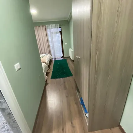 Hotel Bujtina Ladi Vithkuq