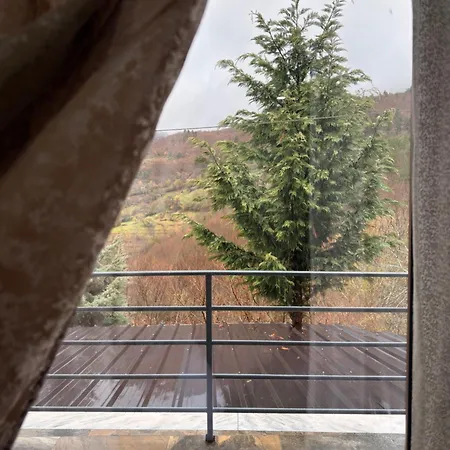 Hotel Bujtina Ladi