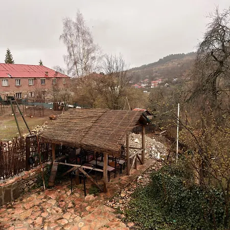 Hotel Bujtina Ladi Vithkuq
